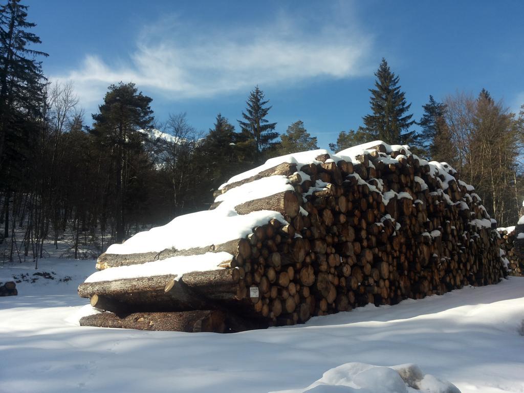 Appartamenti La Val Andalo Zewnętrze zdjęcie